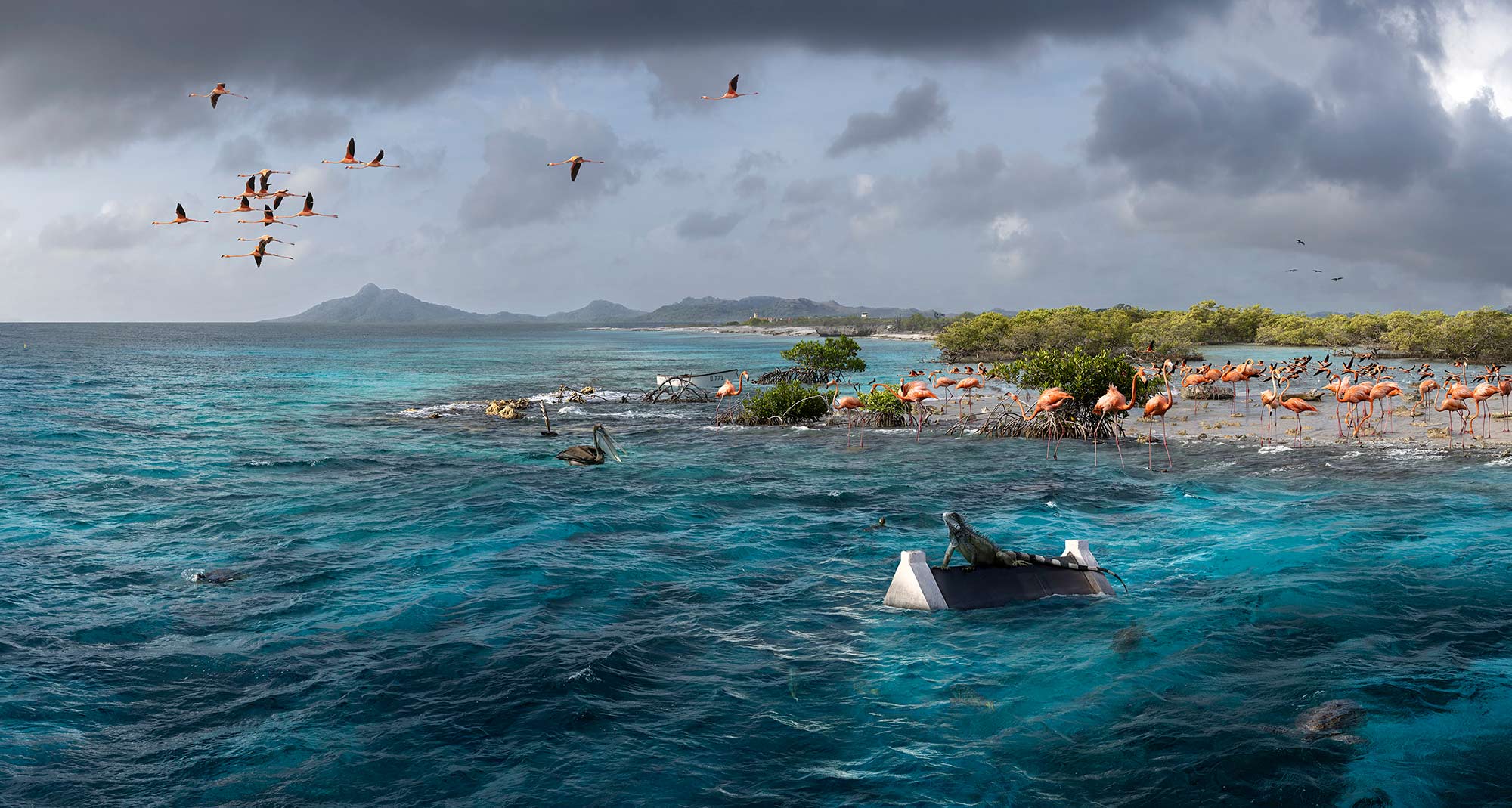 De zee vrij spel? Boneire e promé