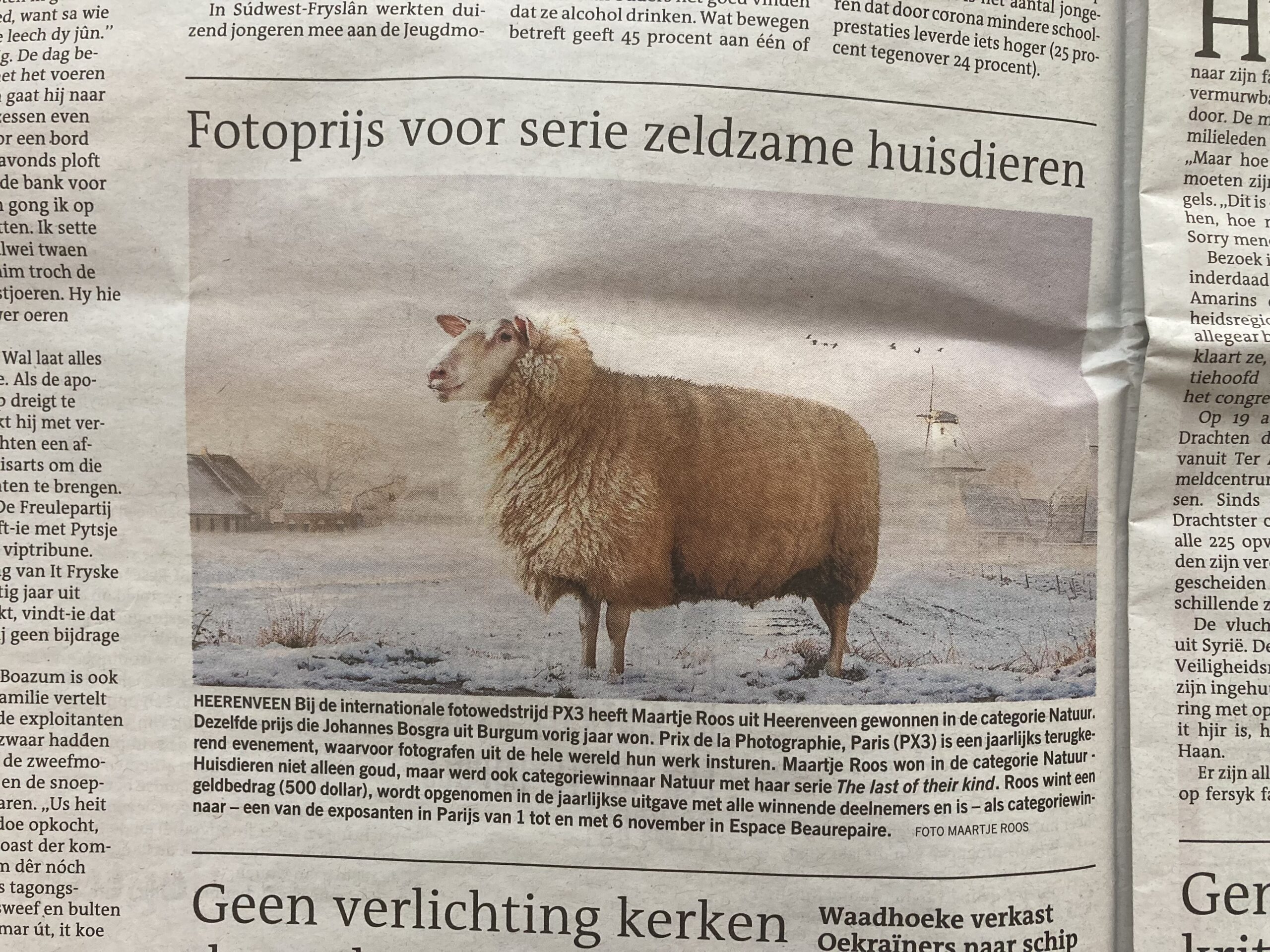 Maartje Roos  wint internationale fotowedstrijd met foto’s van zeldzame huisdieren