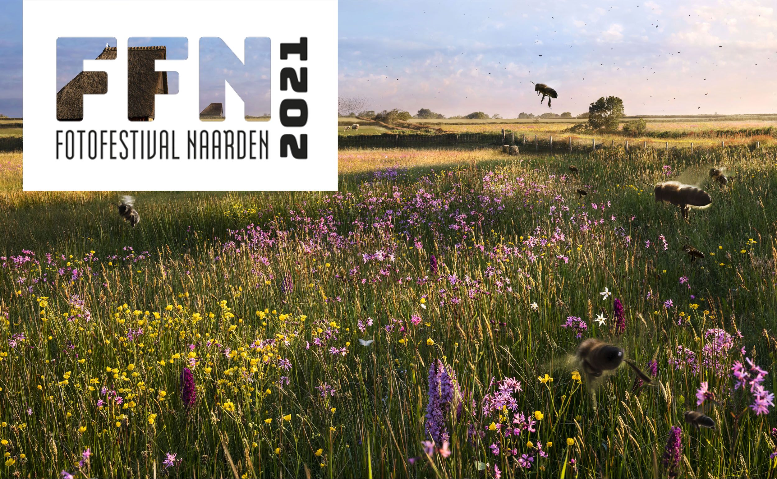 Celebrate the Dutch Landscape FFN2021